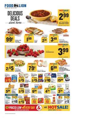 Food Lion Flyer - 02.24.2021 - 03.02.2021.