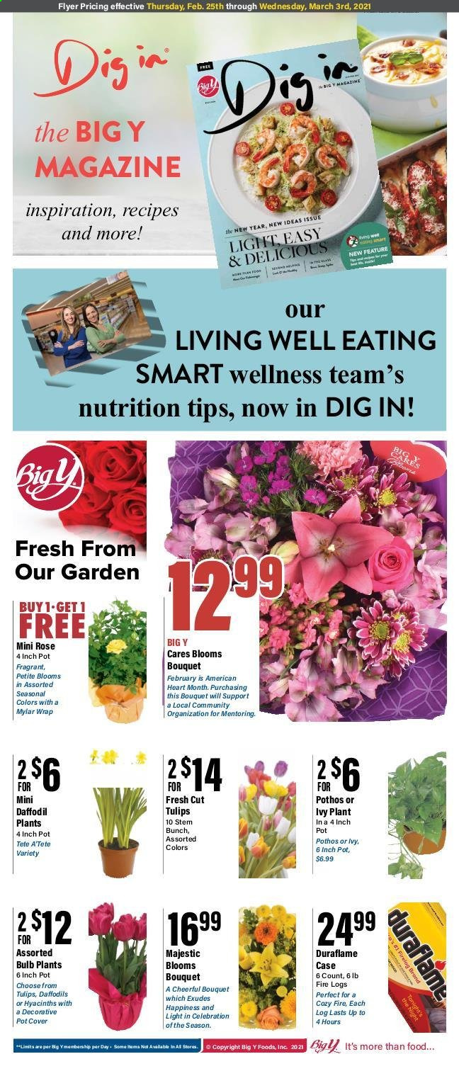 Big Y ad - 02/25/2021 - 03/03/2021. Page 9