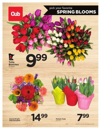 Cub Foods Flyer - 02.21.2021 - 02.27.2021.