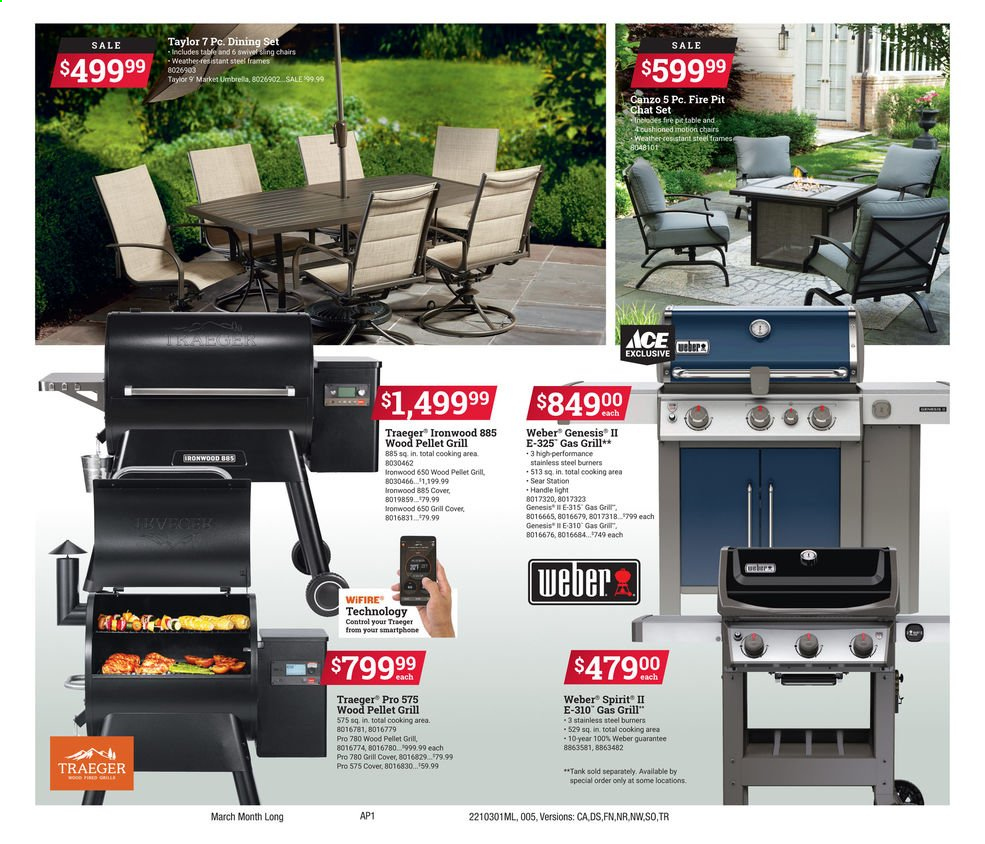 thumbnail - ACE Hardware Flyer - 03/01/2021 - 03/31/2021 - Sales products - Ace, tank, table, pellet gun, gas grill, grill, Weber, pellet grill. Page 5.