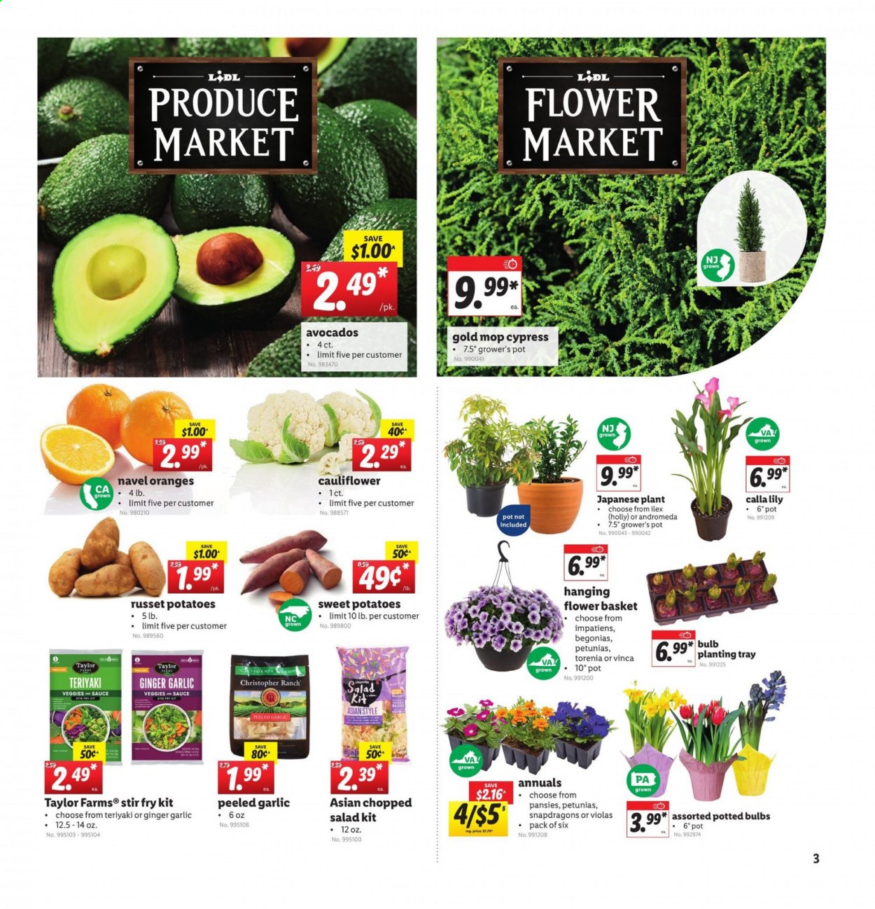 Lidl ad - 03/17/2021 - 03/23/2021. Page 3