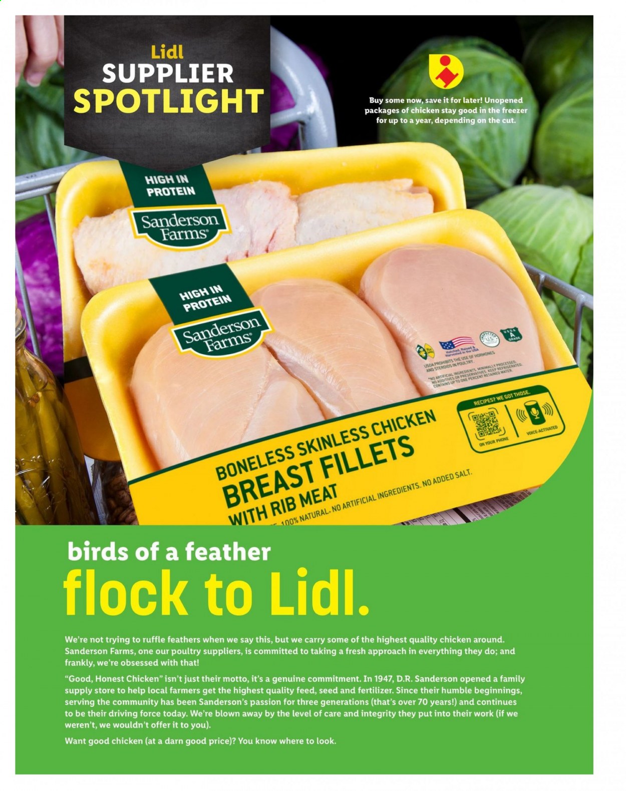 Lidl ad - 03/10/2021 - 04/20/2021. Page 10
