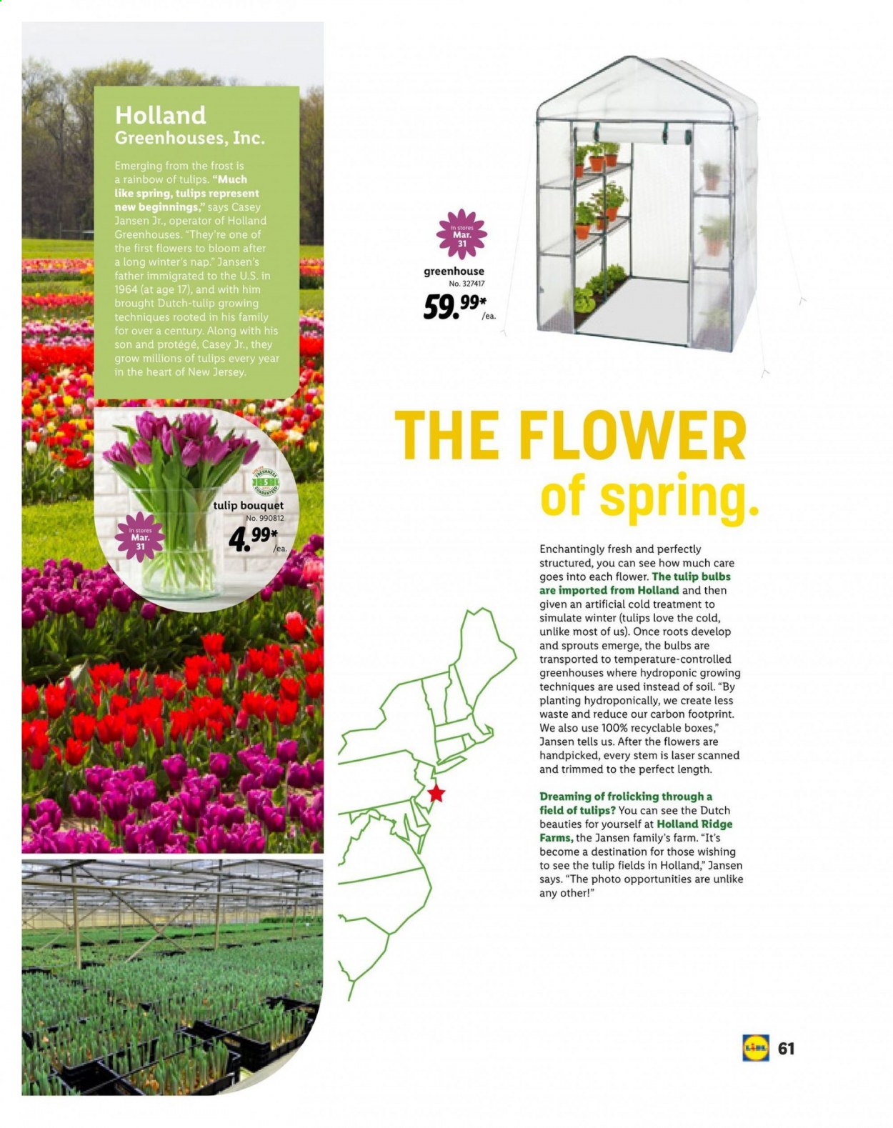 Lidl ad - 03/10/2021 - 04/20/2021. Page 61
