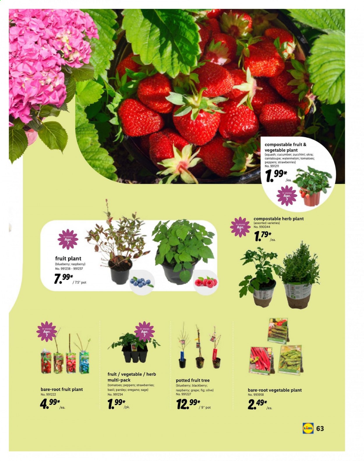 Lidl ad - 03/10/2021 - 04/20/2021. Page 63