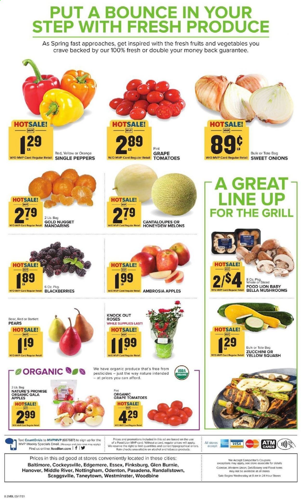 Food Lion ad - 03/17/2021 - 03/23/2021. Page 8
