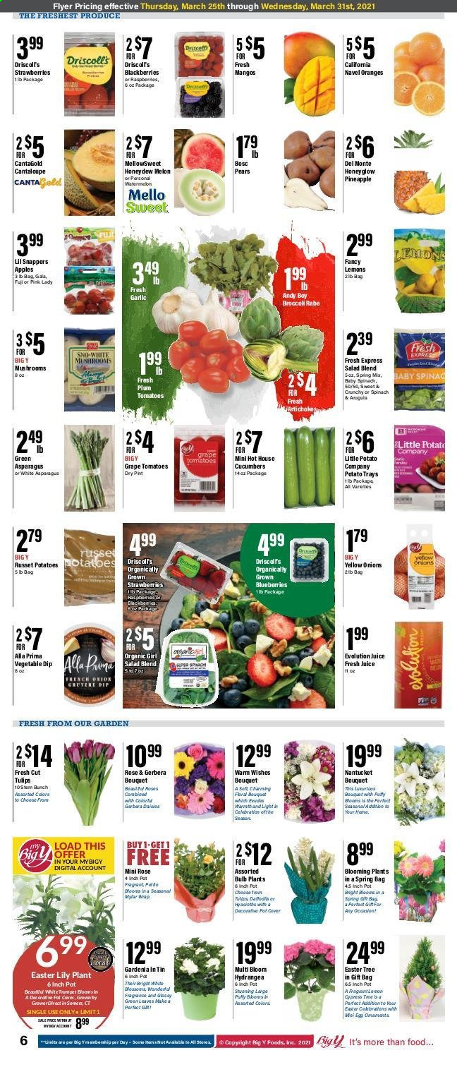 Big Y ad - 03/25/2021 - 03/31/2021. Page 6
