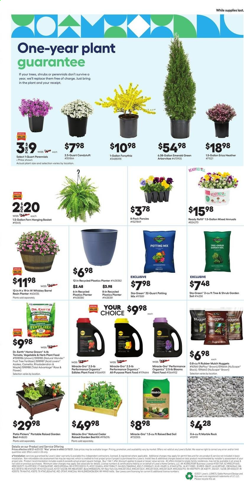 thumbnail - Lowe's Flyer - 04/08/2021 - 04/21/2021 - Sales products - basket, garden bed, gallon, fruit tree, rose, potting mix, fertilizer, garden soil, garden mulch. Page 2.