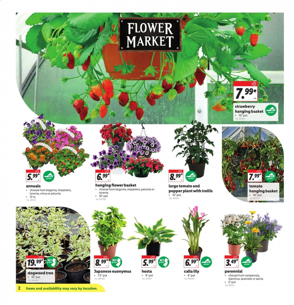 Lidl ad - 04/21/2021 - 04/27/2021. Page 2