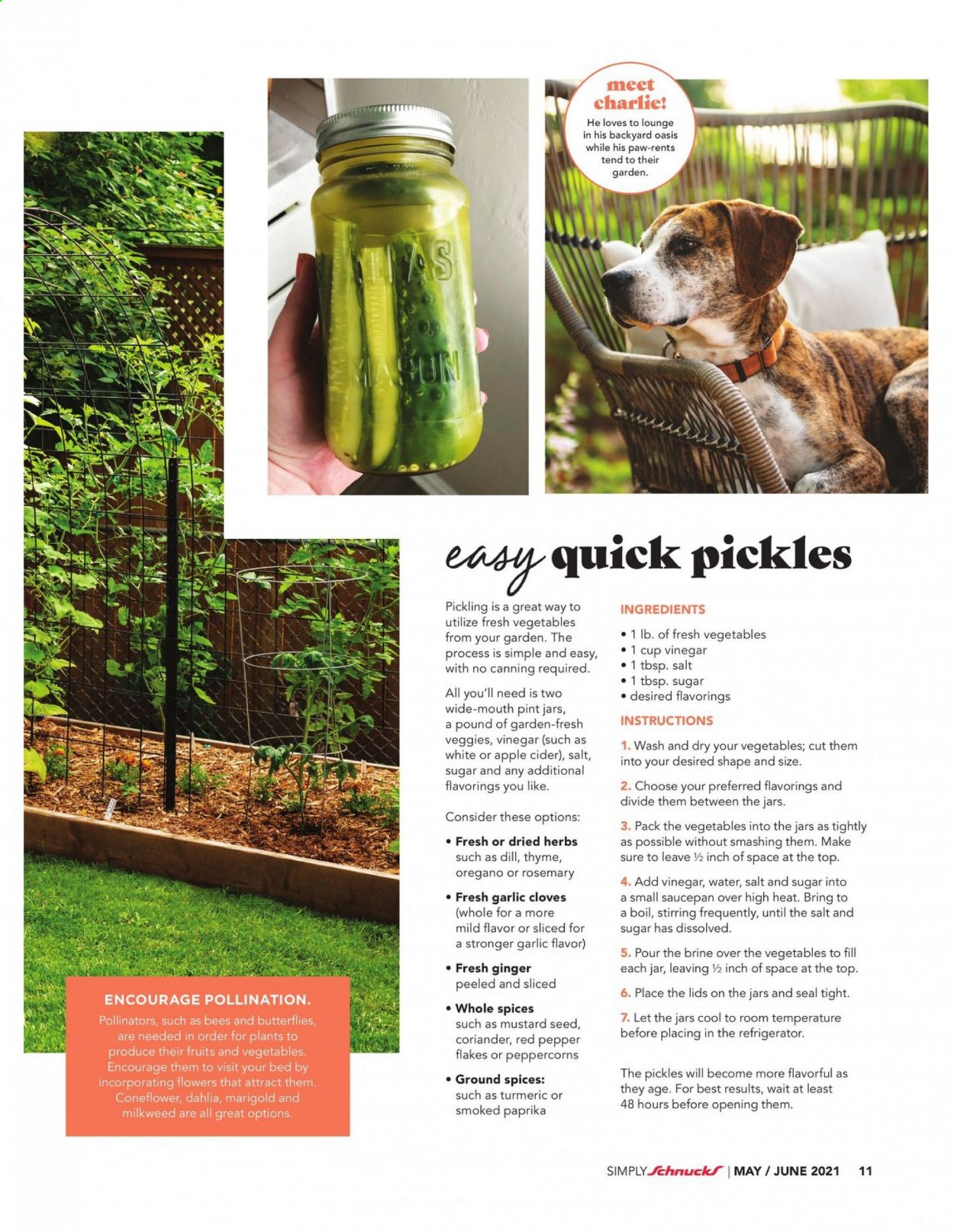 Schnucks ad - 05/01/2021 - 06/30/2021. Page 13