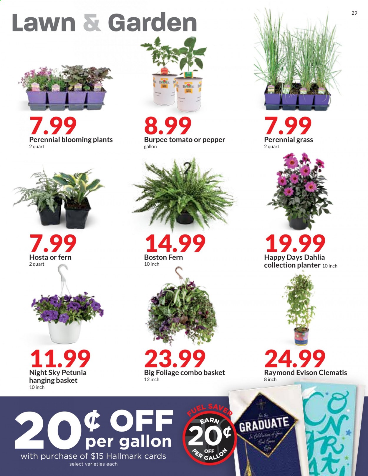 Hy-Vee ad - 05/12/2021 - 05/18/2021. Page 29
