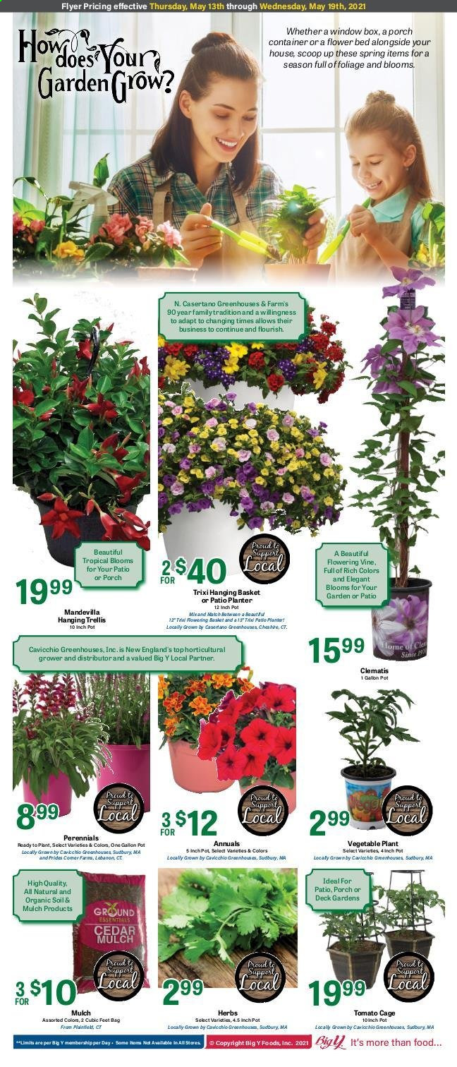 Big Y ad - 05/13/2021 - 05/19/2021. Page 5