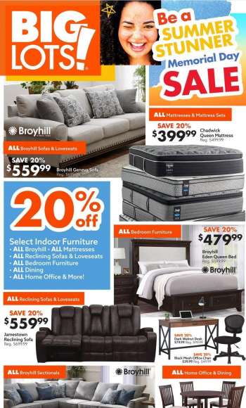 Big Lots Ad