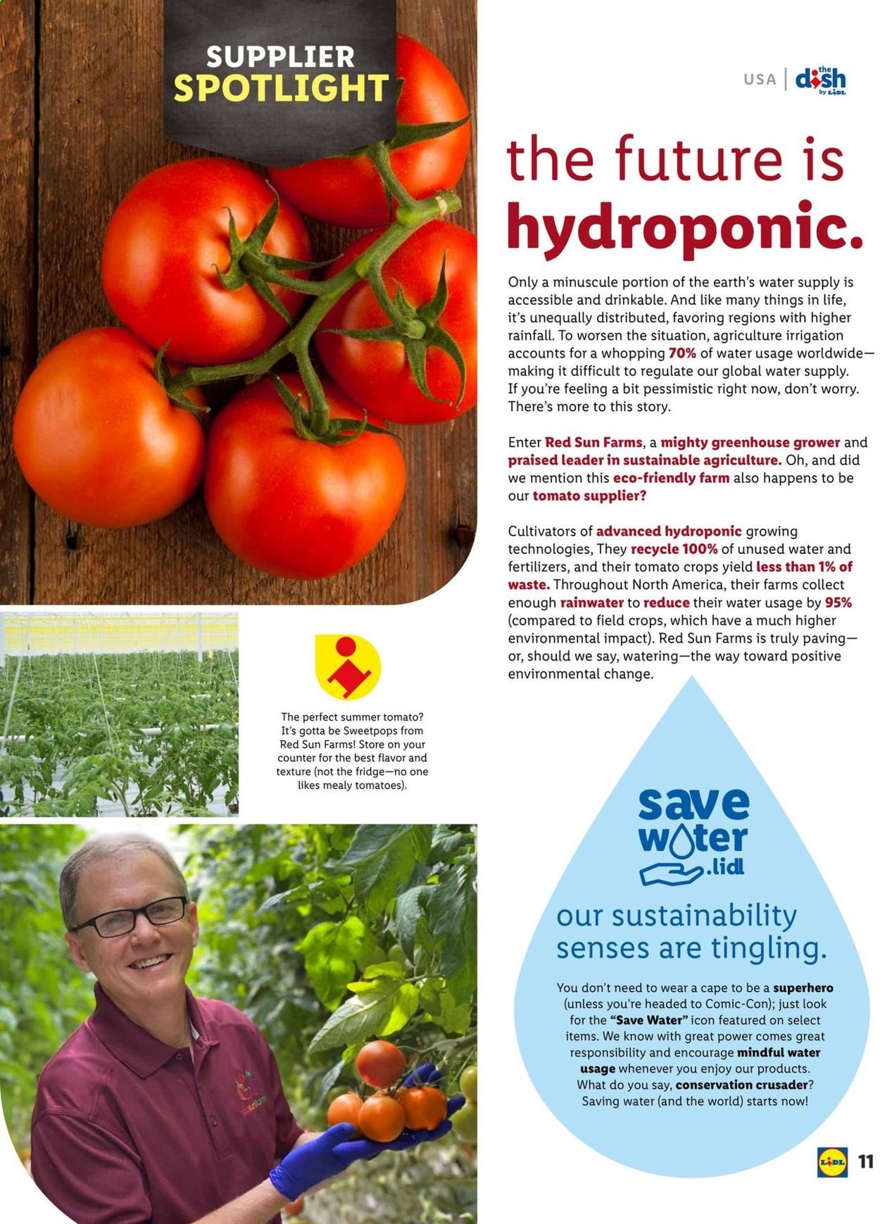 Lidl ad - 06/02/2021 - 06/29/2021. Page 11