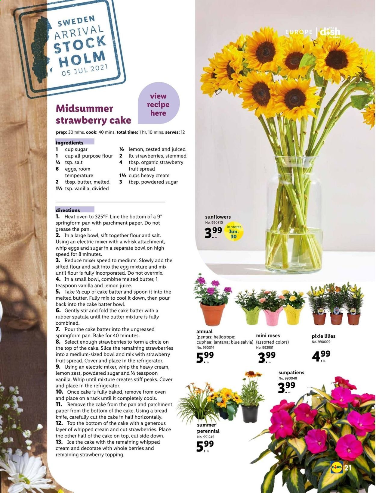 Lidl ad - 06/02/2021 - 06/29/2021. Page 21