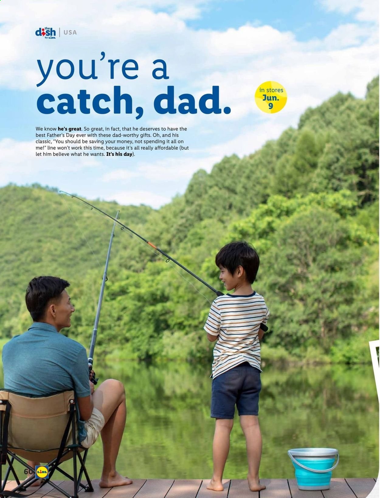 Lidl ad - 06/02/2021 - 06/29/2021. Page 60