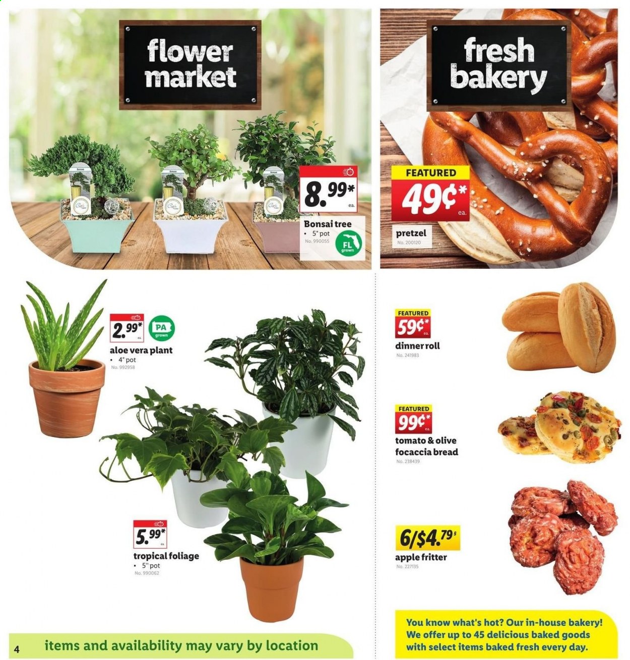 Lidl ad - 06/16/2021 - 06/22/2021. Page 4