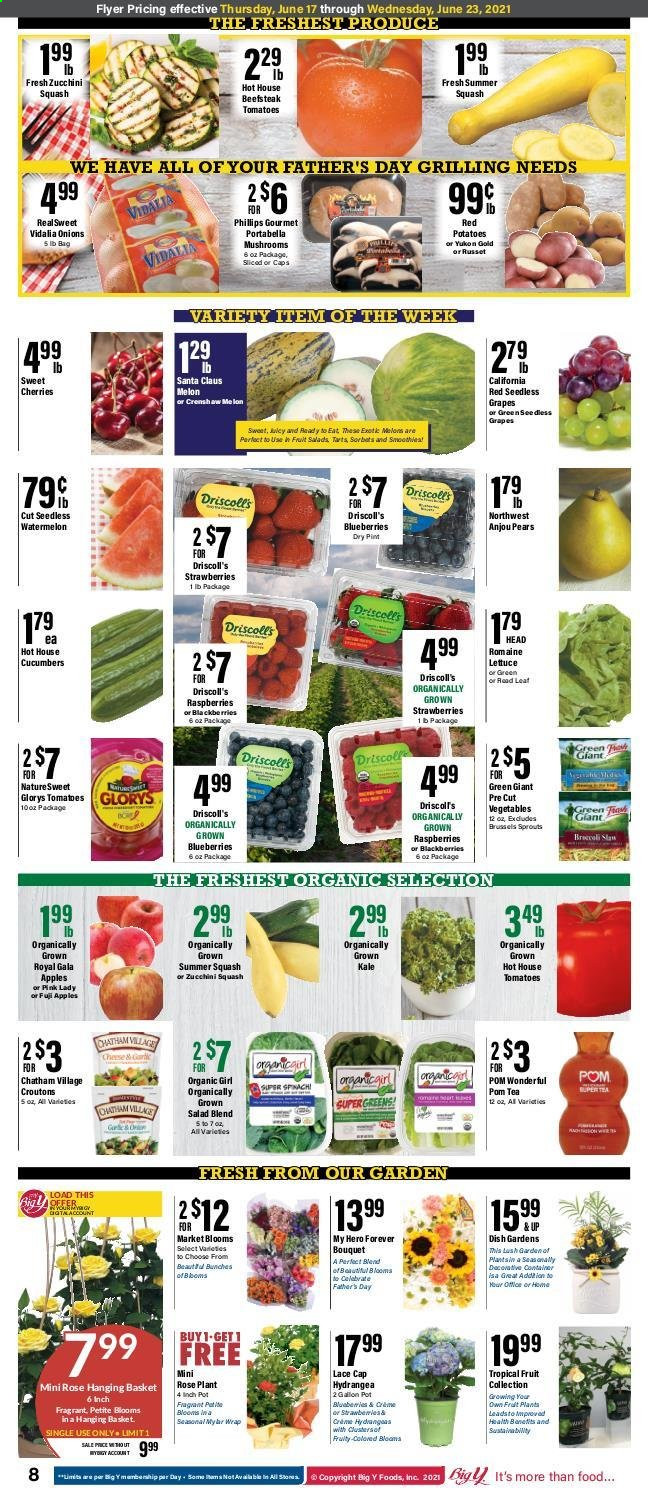 Big Y ad - 06/17/2021 - 06/23/2021. Page 5