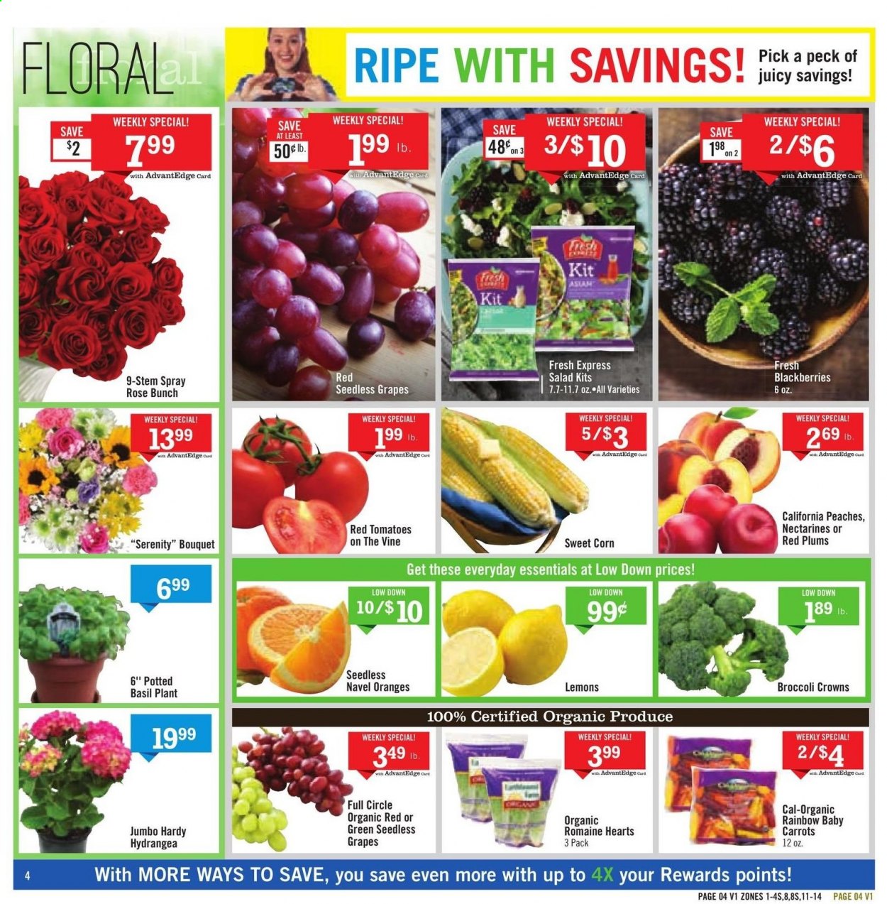 thumbnail - Price Chopper Flyer - 06/20/2021 - 06/26/2021 - Sales products - seedless grapes, plums, red plums, carrots, corn, tomatoes, salad, sweet corn, blackberries, grapes, oranges, esponja, wine, rosé wine, bouquet, rose, nectarines, lemons, peaches, navel oranges. Page 4.