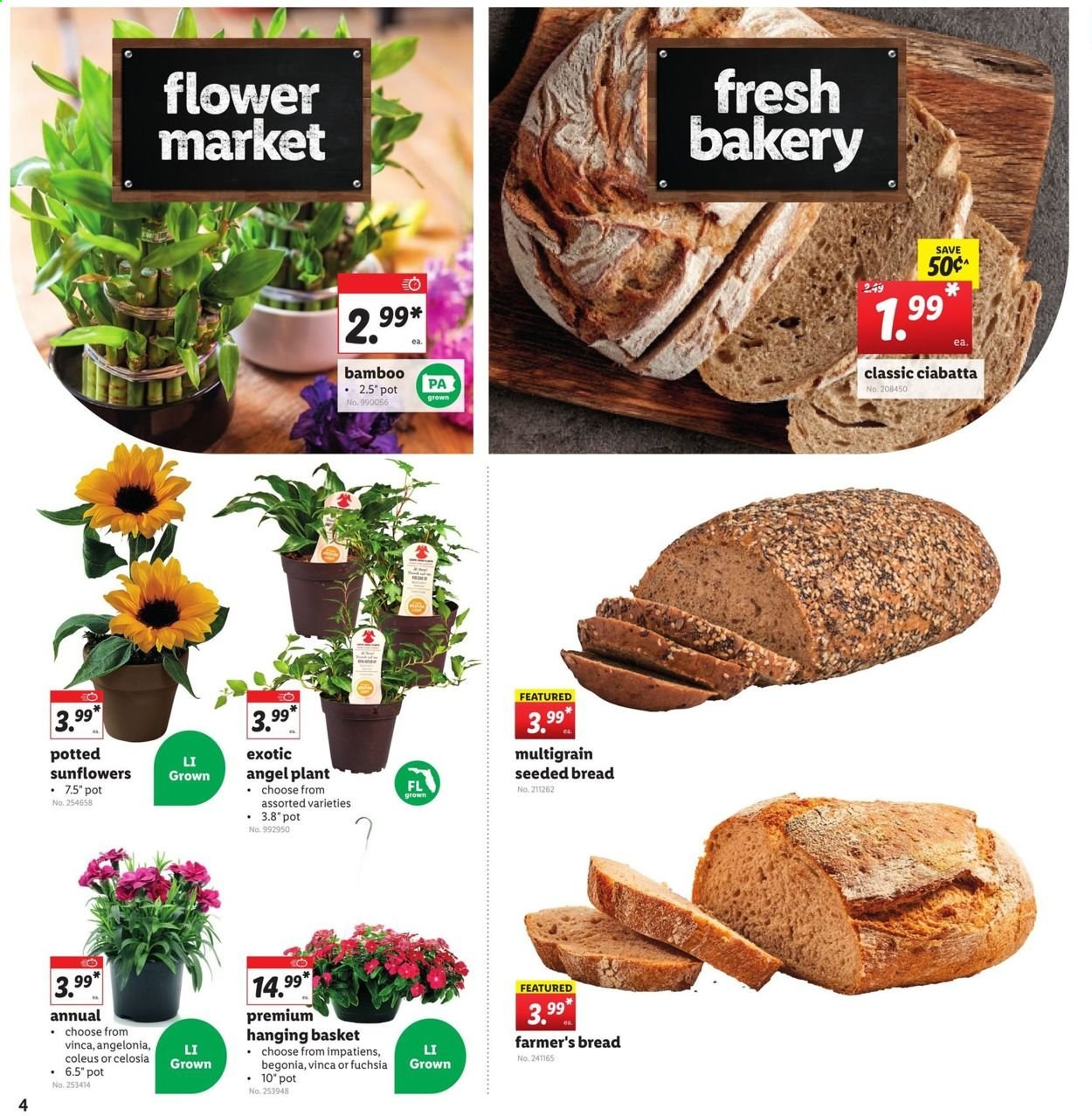 Lidl ad - 06/23/2021 - 06/29/2021. Page 4