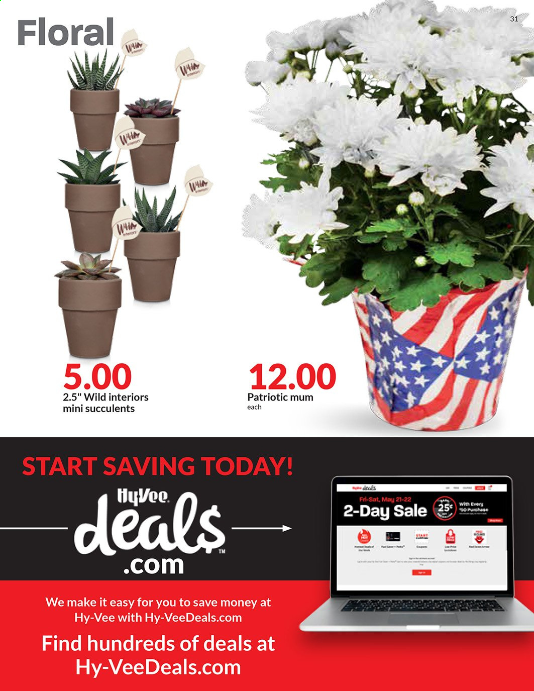 Hy-Vee ad - 06/23/2021 - 06/29/2021. Page 31