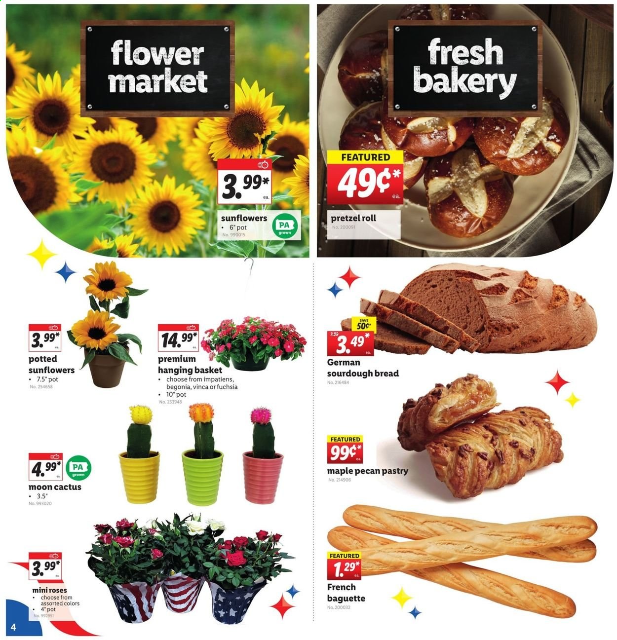 thumbnail - Lidl Flyer - 06/30/2021 - 07/06/2021 - Sales products - baguette, bread, pretzels, sourdough bread, maple pecan pastry, basket, cactus, begonia, rose. Page 4.