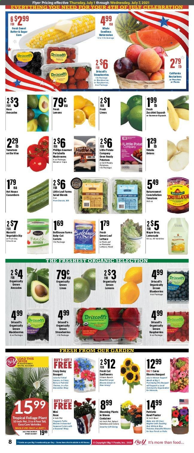 Big Y ad - 07/01/2021 - 07/07/2021. Page 5