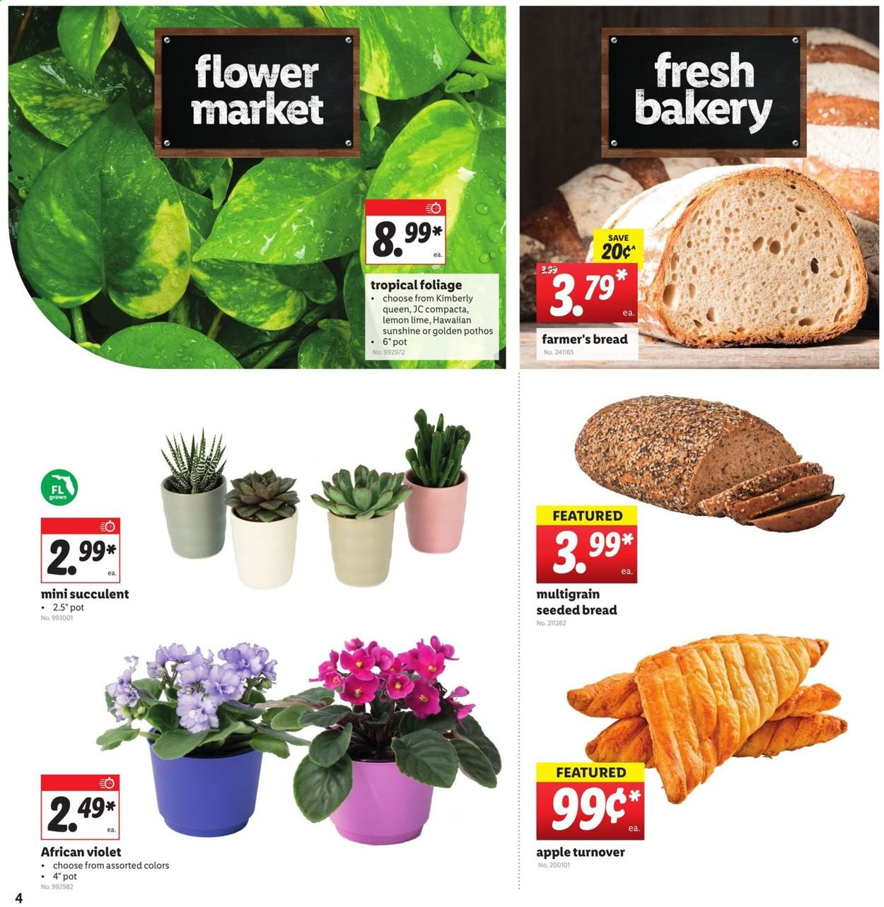 Lidl ad - 07/21/2021 - 07/27/2021. Page 4