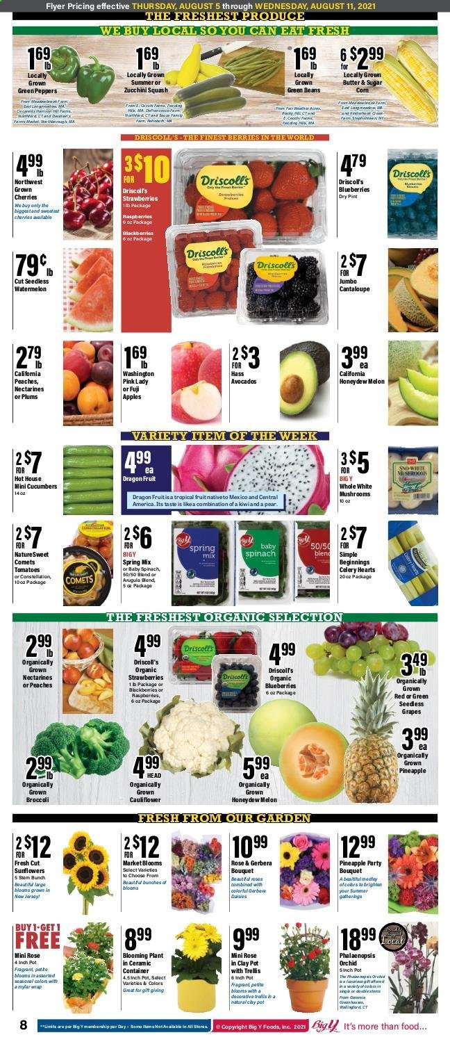 Big Y ad - 08/05/2021 - 08/11/2021. Page 5