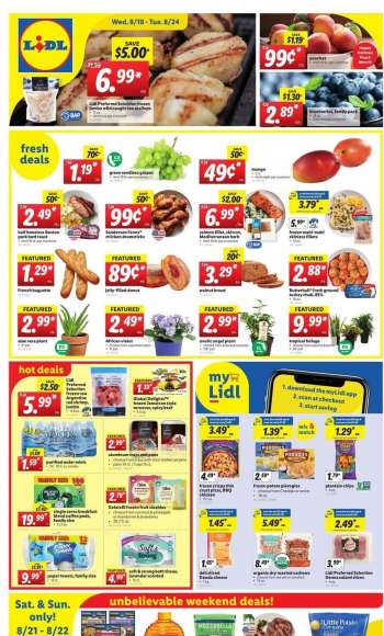 Lidl Flyer - 08.18.2021 - 08.24.2021.