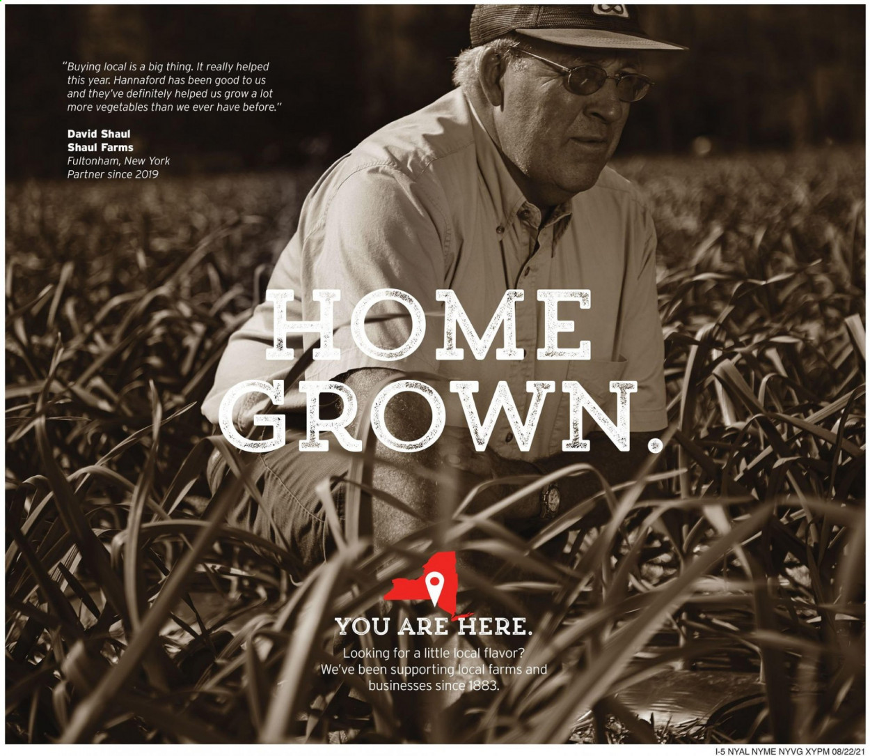 Hannaford ad - 08/22/2021 - 08/28/2021. Page 15