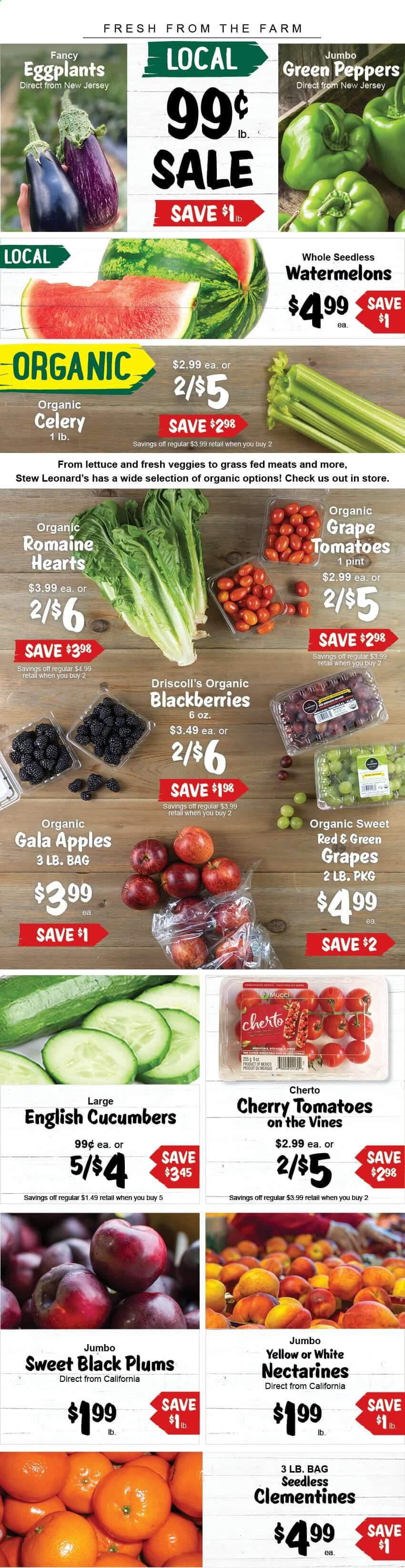 thumbnail - Stew Leonard's Flyer - 08/25/2021 - 08/31/2021 - Sales products - plums, celery, cucumber, tomatoes, lettuce, peppers, eggplant, apples, blackberries, Gala, cherries, clementines, nectarines, black plums. Page 1.