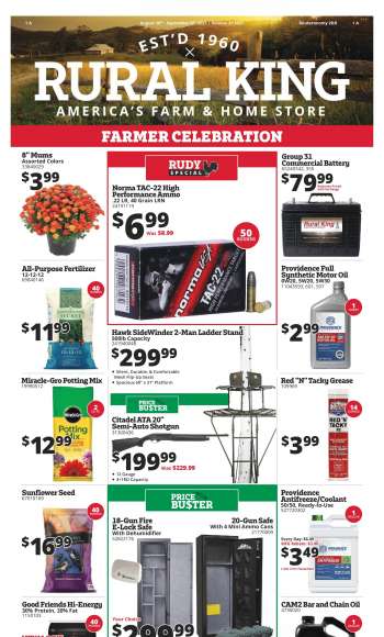 GUN SAFE on sale - RURAL KING • Today's offer from ads