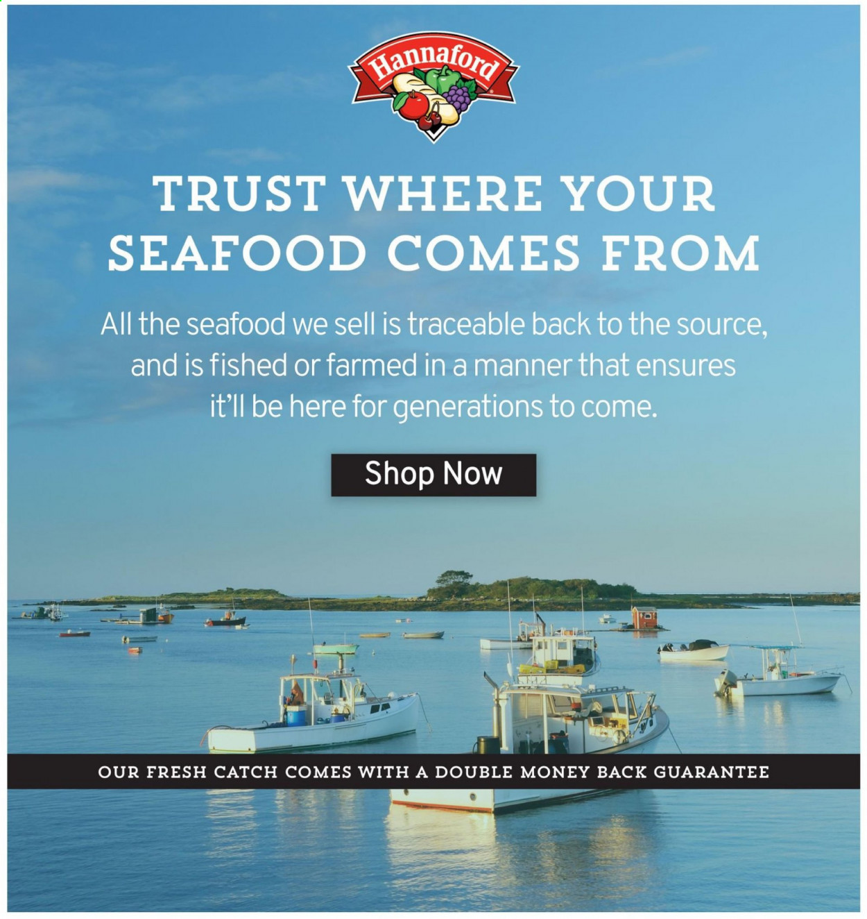 Hannaford ad - 08/29/2021 - 09/04/2021. Page 12