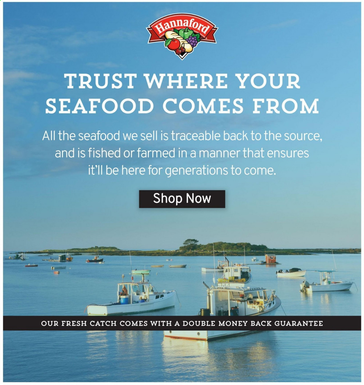 Hannaford ad - 09/05/2021 - 09/11/2021. Page 13