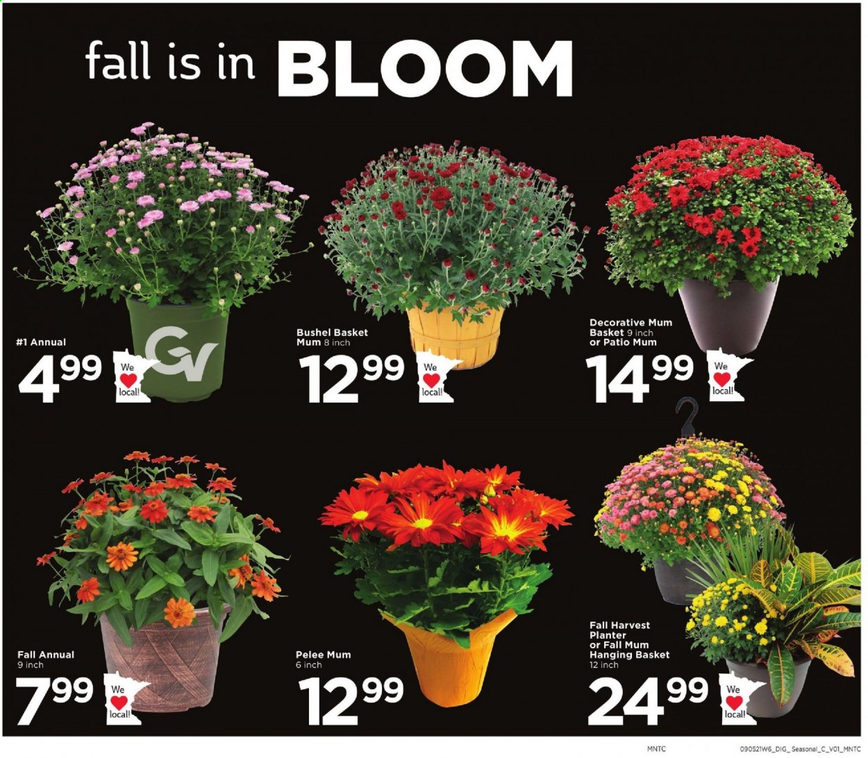 Cub Foods ad - 09/05/2021 - 09/11/2021. Page 9