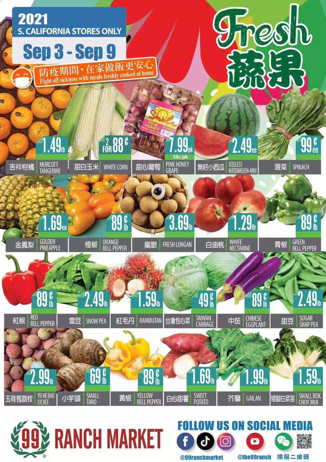 thumbnail - 99 Ranch Market Flyer - 09/03/2021 - 09/09/2021 - Sales products - bell peppers, cabbage, corn, spinach, sweet potato, eggplant, watermelon, pineapple, oranges, sugar, lychee, pepper, honey, nectarines. Page 1.