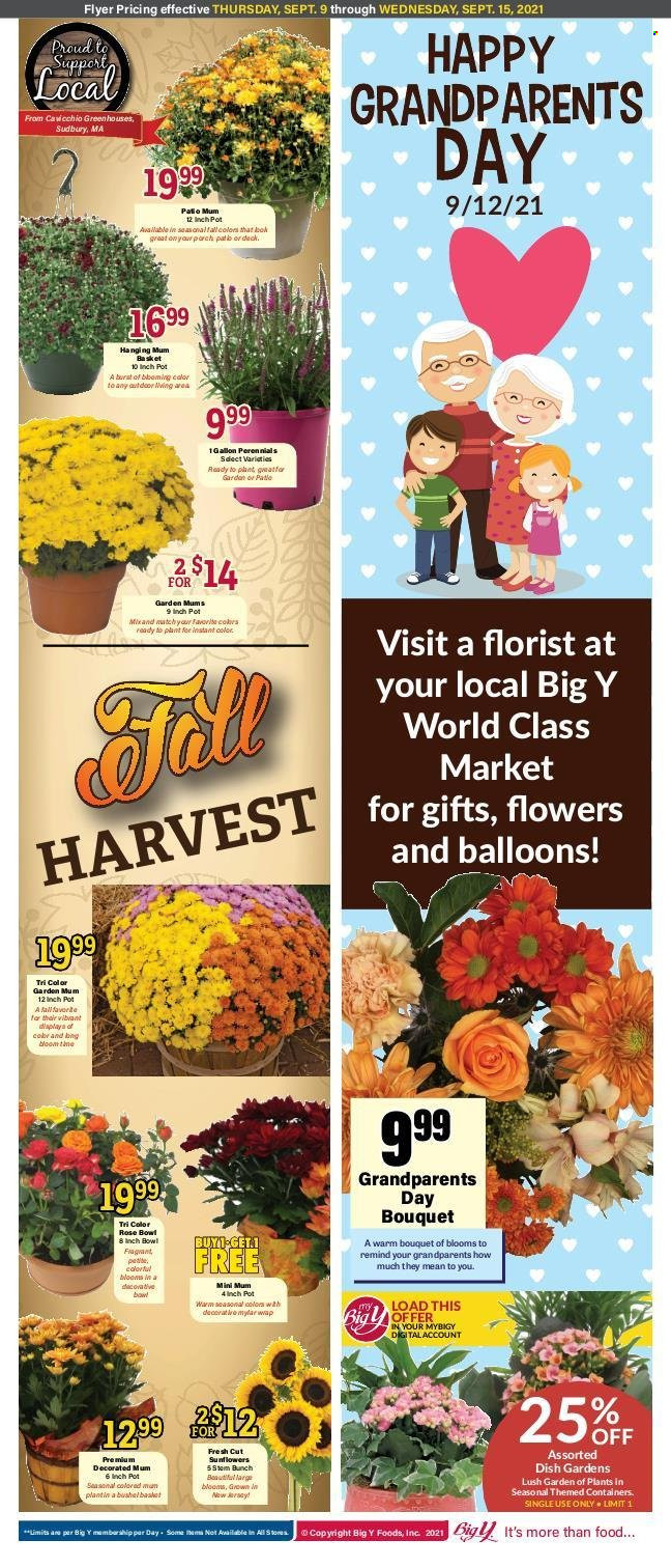 Big Y ad - 09/09/2021 - 09/15/2021. Page 5