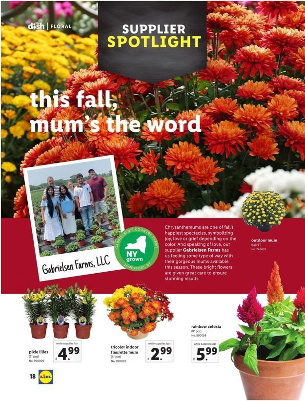 Lidl ad - 09/08/2021 - 10/19/2021. Page 18
