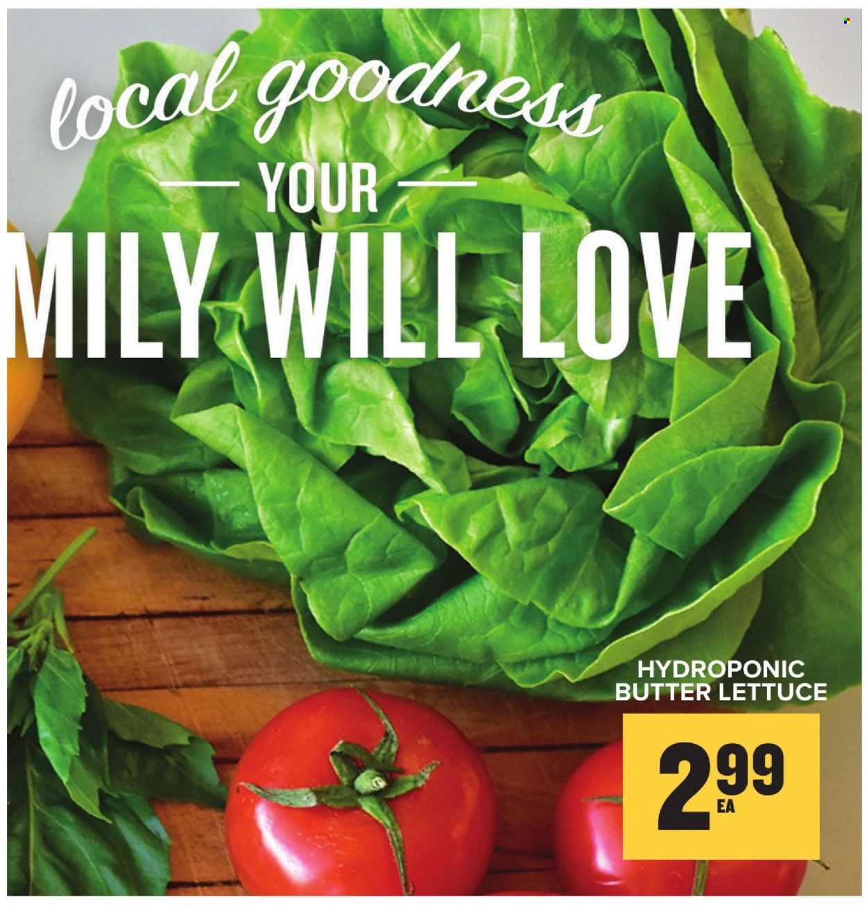Food Lion ad - 09/22/2021 - 09/28/2021. Page 13