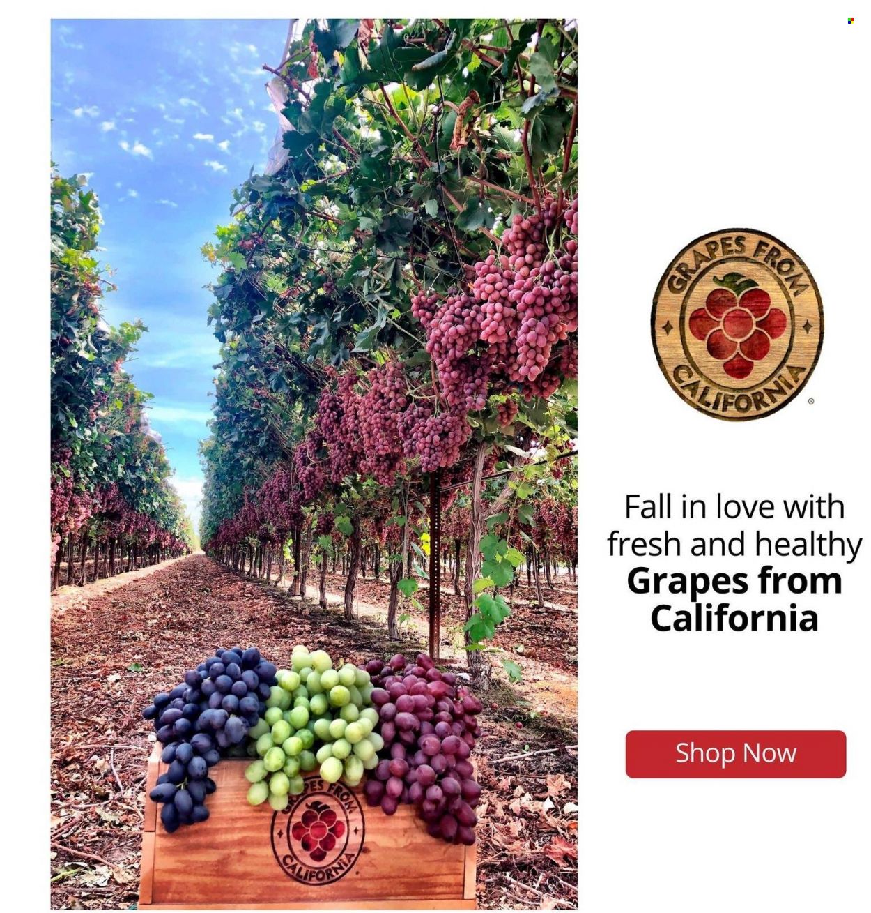 Hannaford ad - 10/03/2021 - 10/09/2021. Page 13