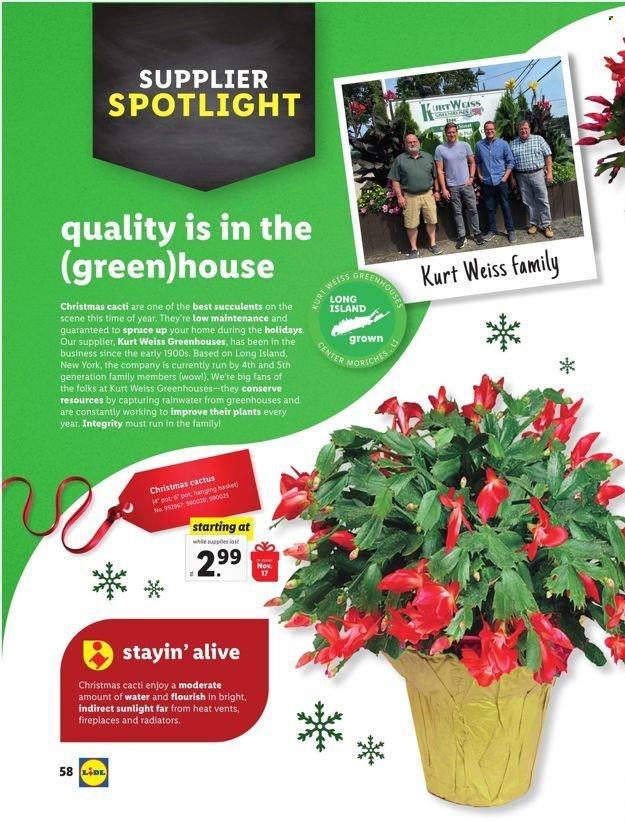 Lidl ad - 11/10/2021 - 01/04/2022. Page 60