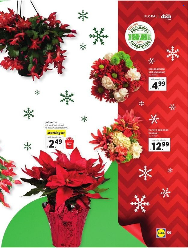 Lidl ad - 11/10/2021 - 01/04/2022. Page 61