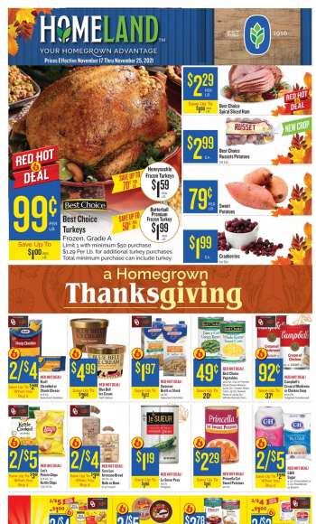 Homeland Ad