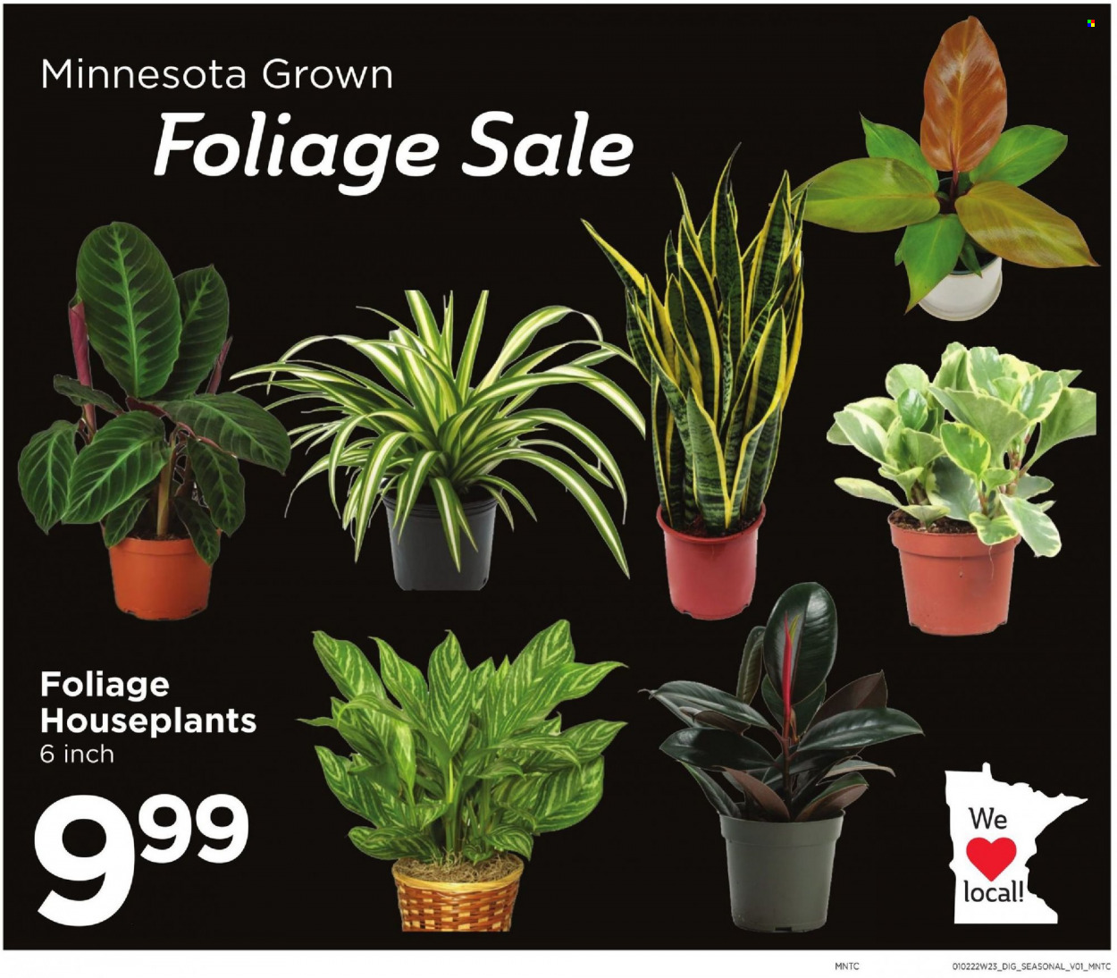 Cub Foods ad - 01/02/2022 - 01/08/2022. Page 9