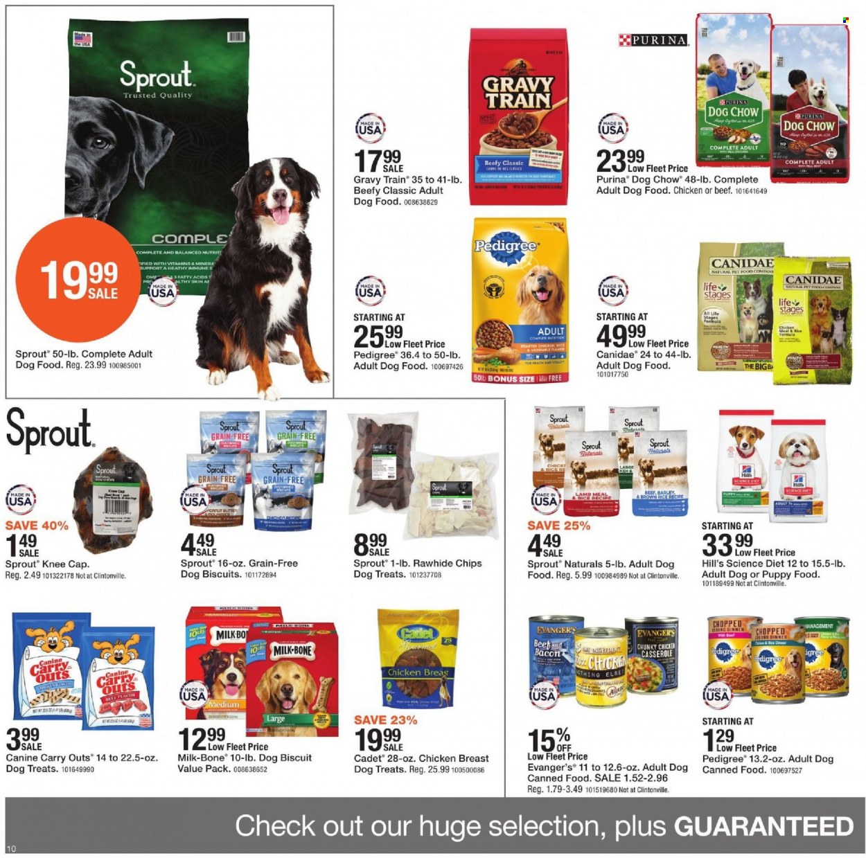thumbnail - Fleet Farm Flyer - 01/07/2022 - 01/15/2022 - Sales products - chips, brown rice, casserole, animal food, animal treats, Canidae, dog food, Dog Chow, Science Diet, Purina, dog biscuits, Pedigree, Hill's, dog chews. Page 10.