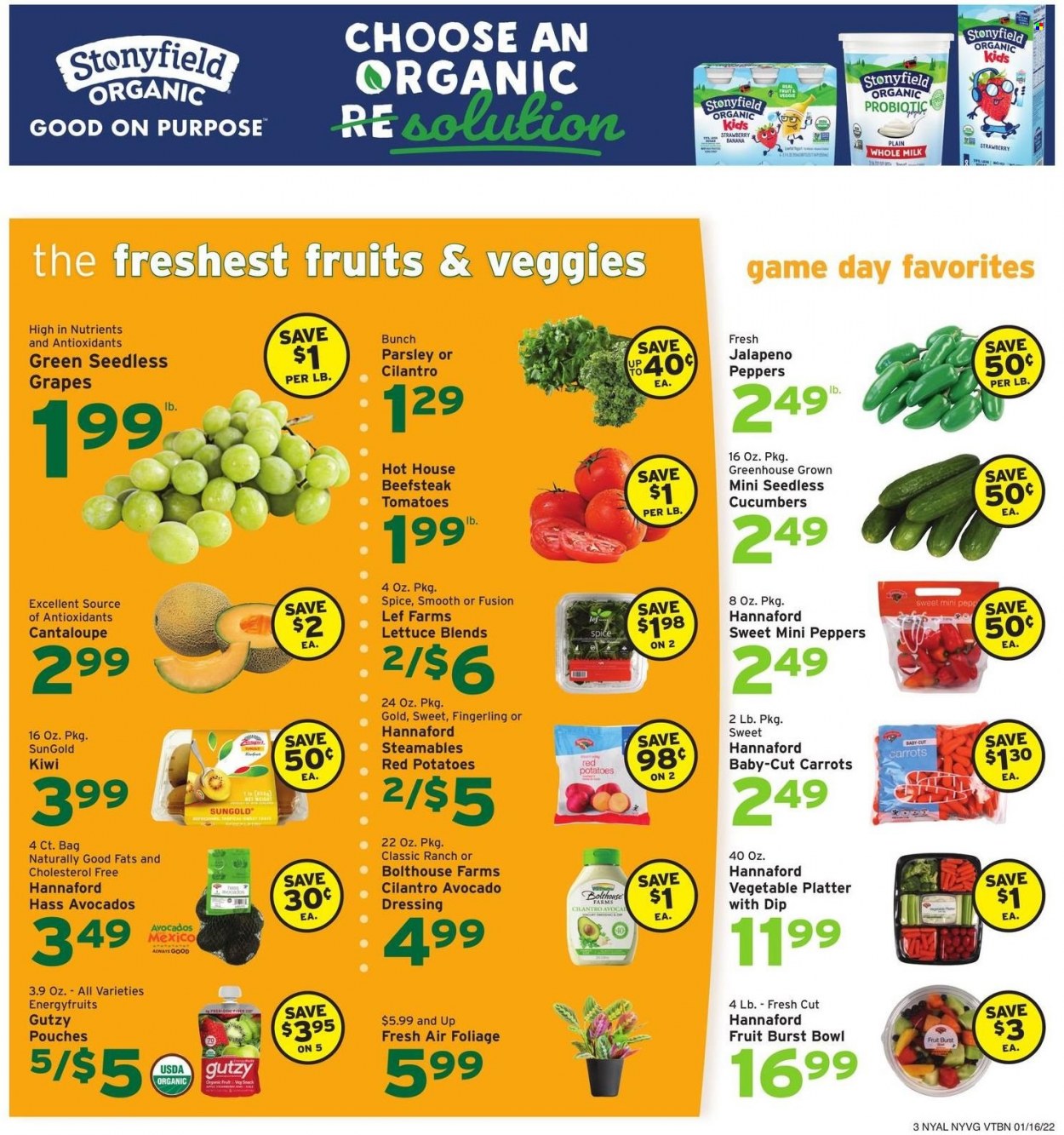 thumbnail - Hannaford Flyer - 01/16/2022 - 01/22/2022 - Sales products - cantaloupe, carrots, cucumber, tomatoes, potatoes, parsley, lettuce, peppers, jalapeño, red potatoes, avocado, grapes, kiwi, milk, dip, cilantro, spice, dressing, bowl. Page 3.