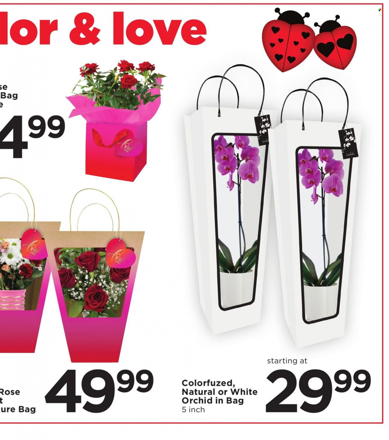 Cub Foods ad - 02/13/2022 - 02/19/2022. Page 16