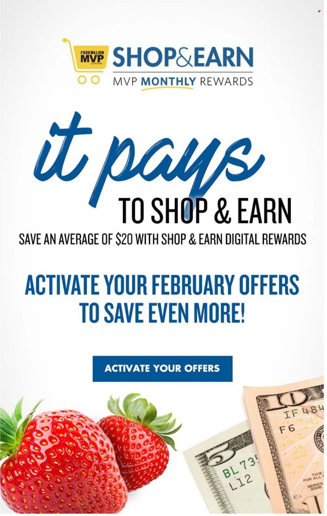 Food Lion ad - 03/02/2022 - 03/08/2022. Page 17