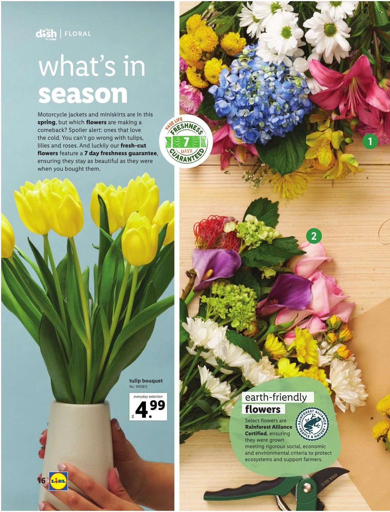 Lidl ad - 03/03/2022 - 04/26/2022. Page 16