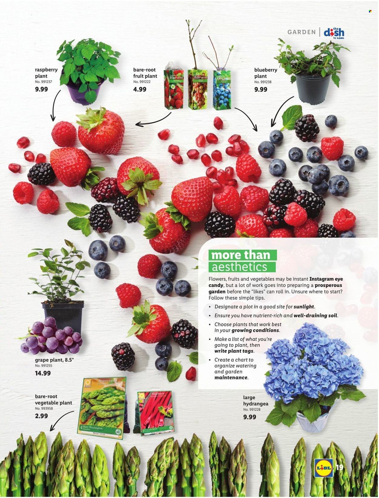 Lidl ad - 03/03/2022 - 04/26/2022. Page 19